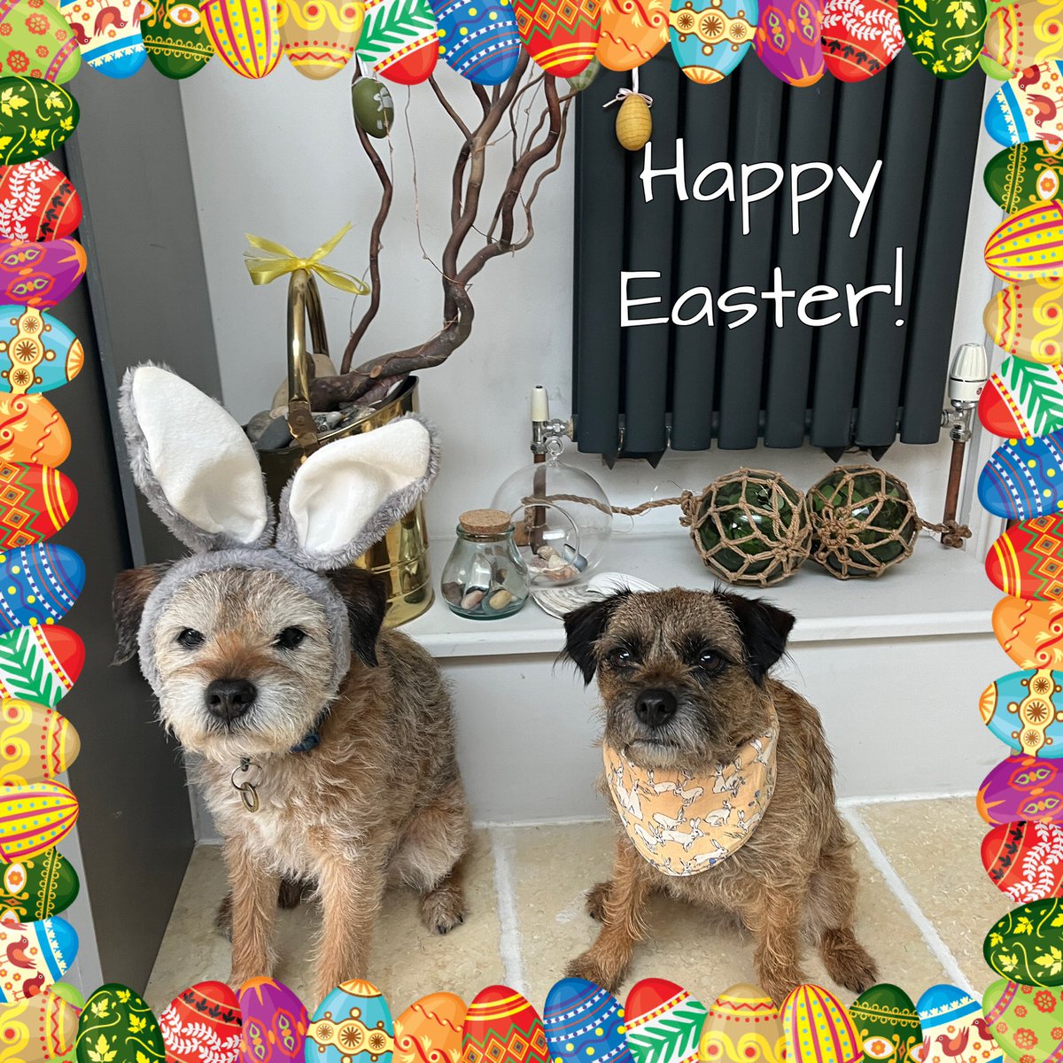 Lord Teddy, who loves his beddie! tweet media