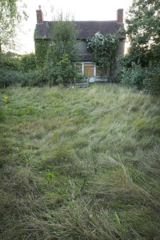 Josh Barzon tweet media