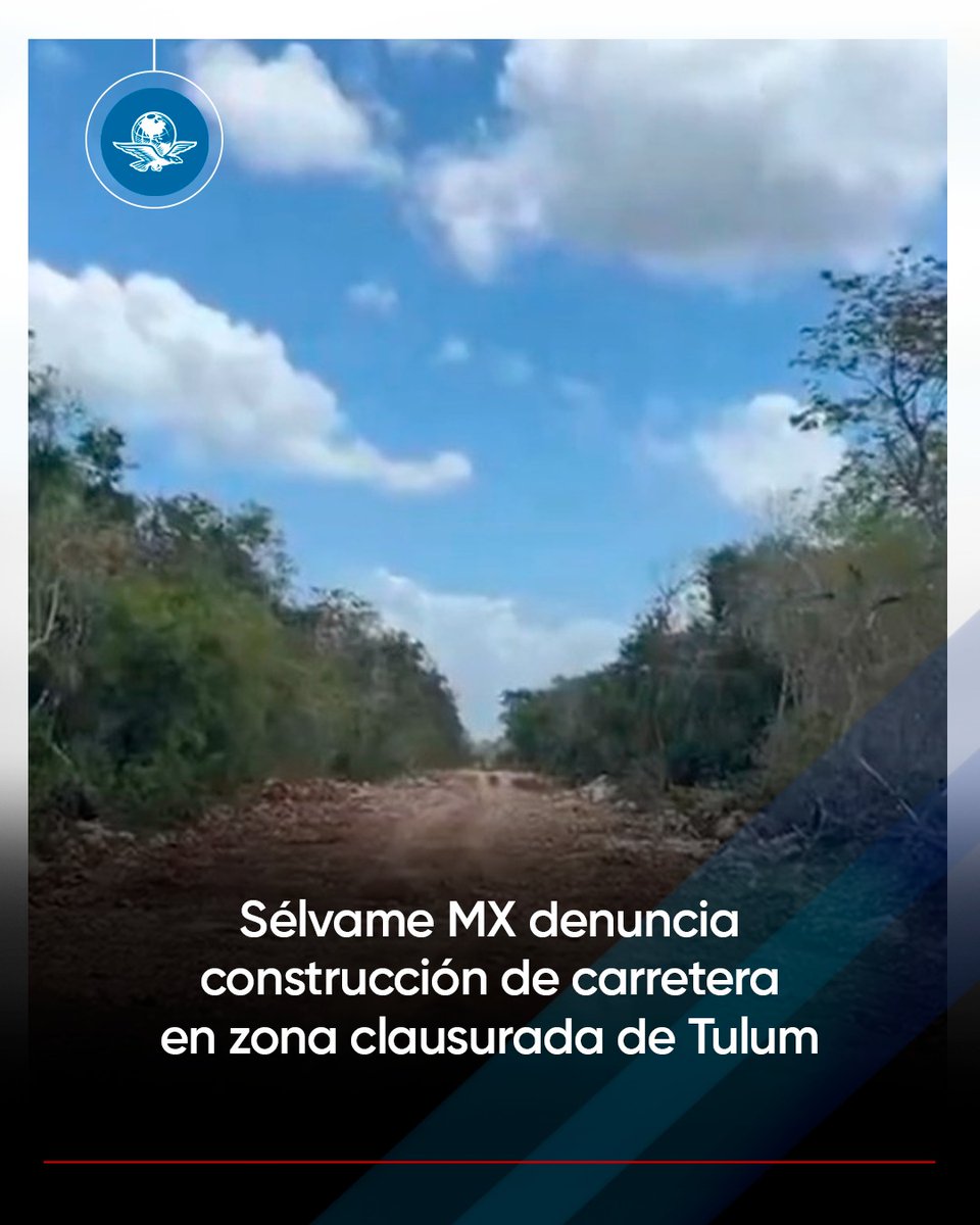 El Universal tweet media