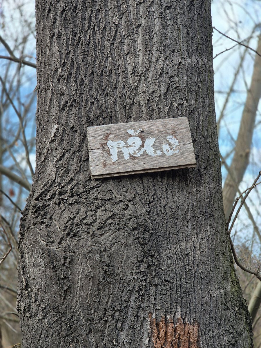 Katka Matesová tweet media