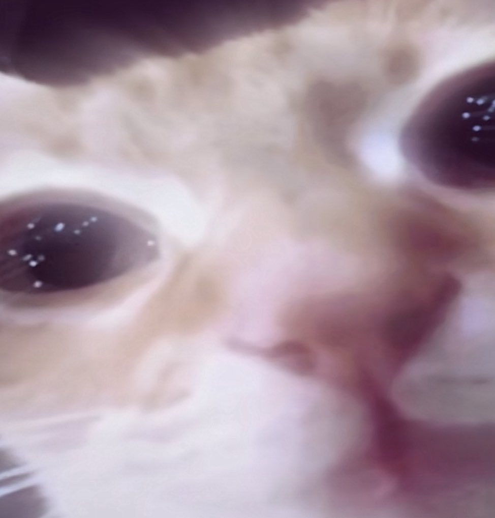 🧁Sammie🧁 tweet media