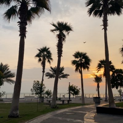 Iqoexe's tweet photo. #NewProfilePic اخترتها بكل عشوائية عشان الشرقية وكذا https://t.co/5X1ln6KWAX