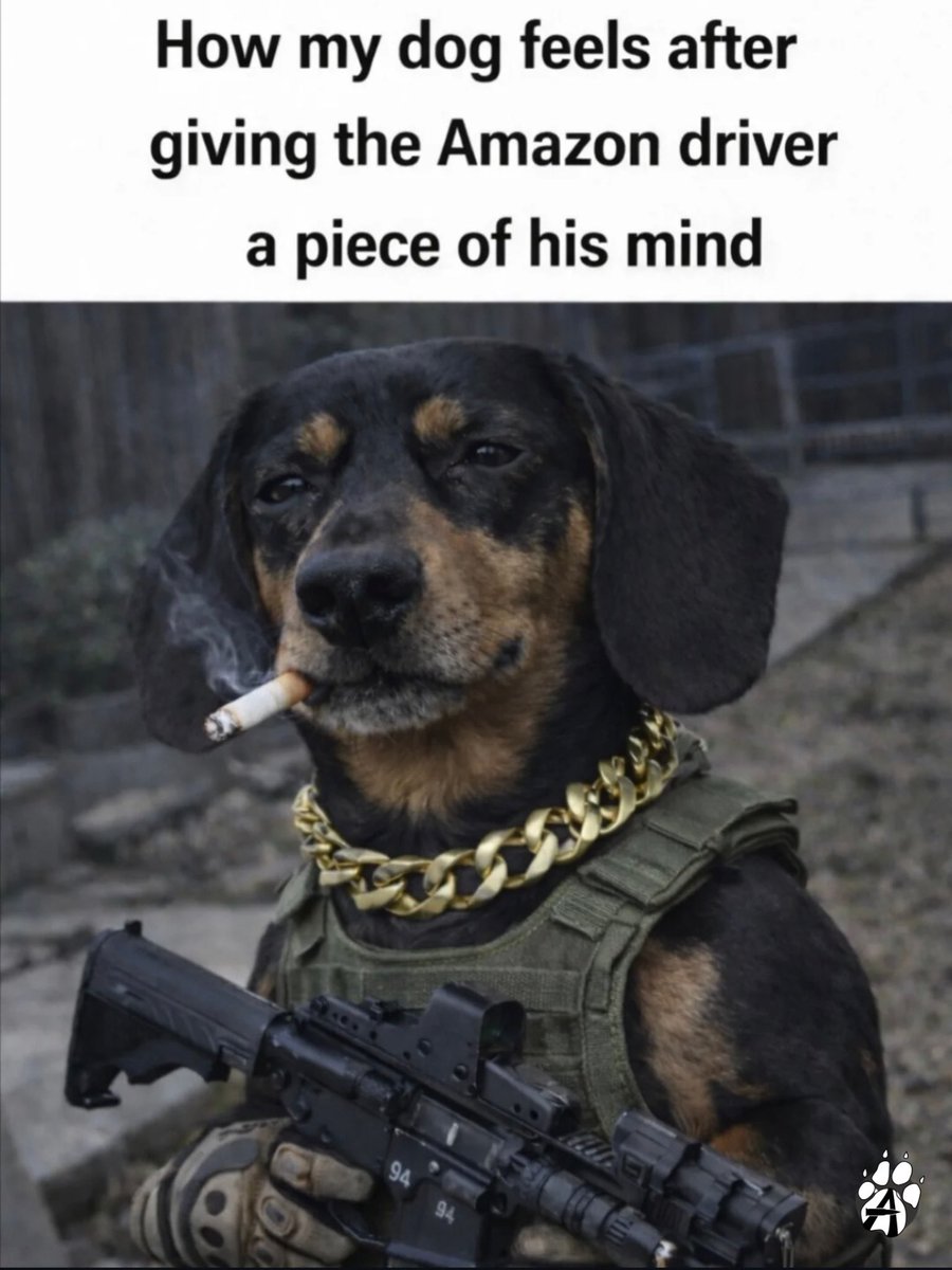 Alpha Dog Firearms tweet media