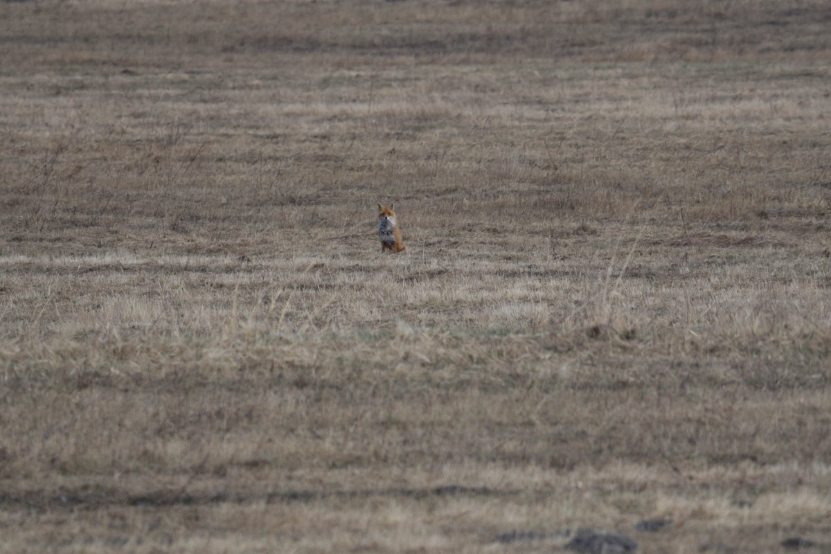 Martins Sitcs tweet media