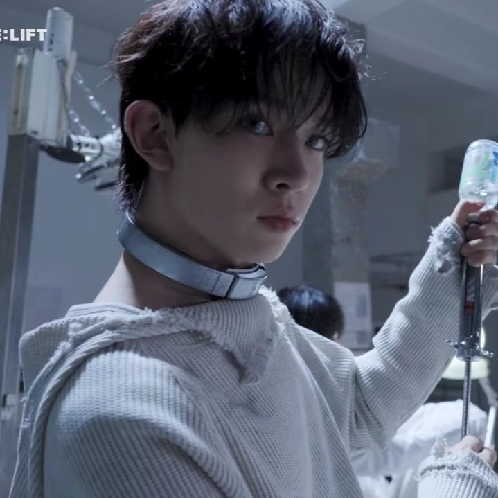 haven🦋 ENHYPEN IS 7 tweet media