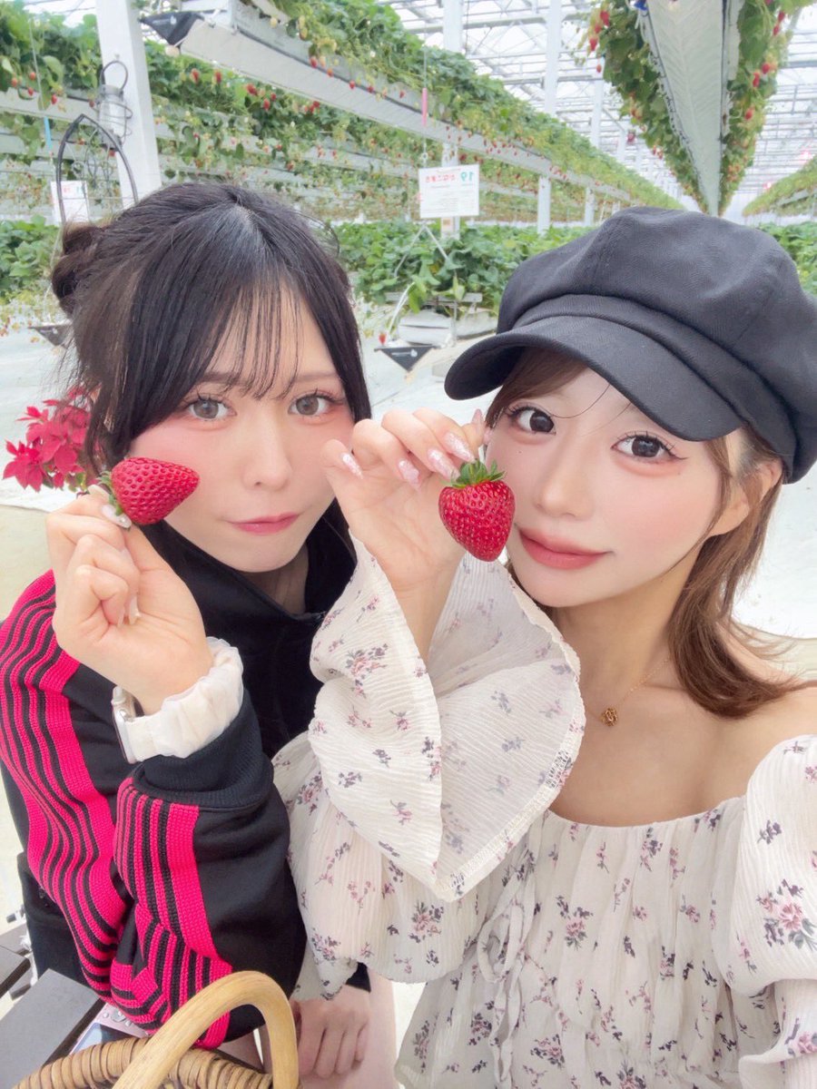 いちごの季節^  ̳   ̫   ̳^ ♡