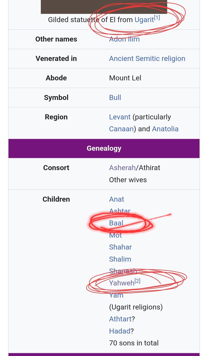 Ibn taymiah tweet media