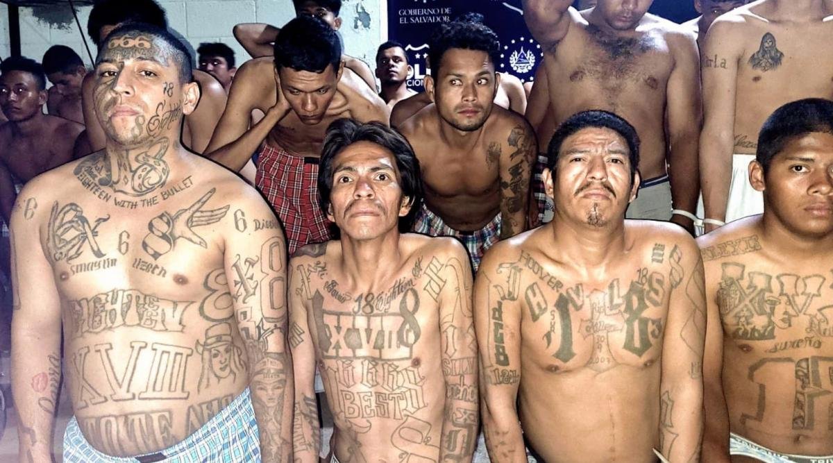 Plus Ultra ❤️💛💛❤️ tweet media