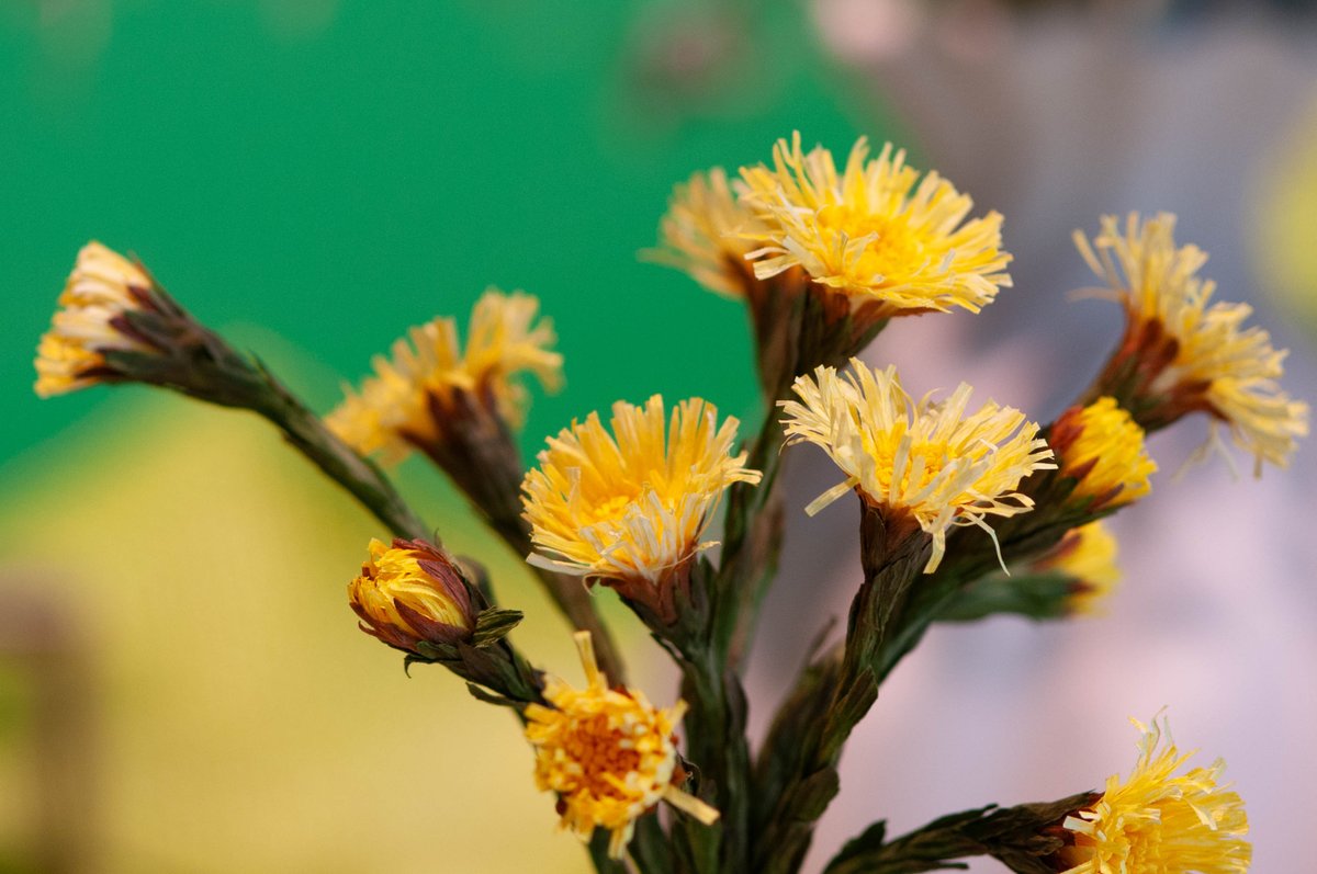 Martins Sitcs tweet media