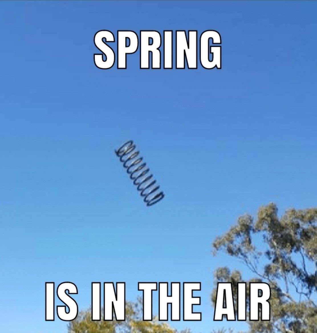 Sarah Sizzle tweet media