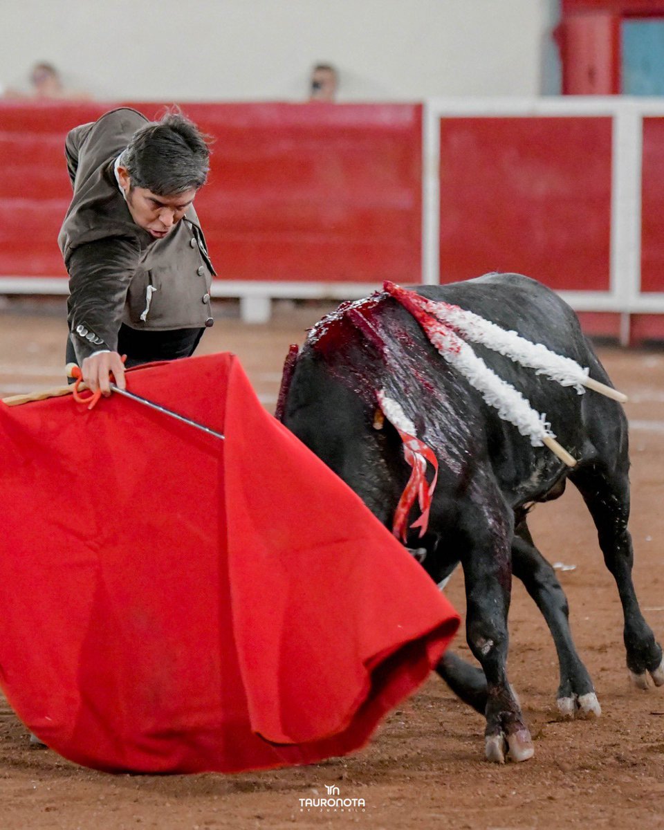 Dimensión Taurina By Tauro Nota tweet media