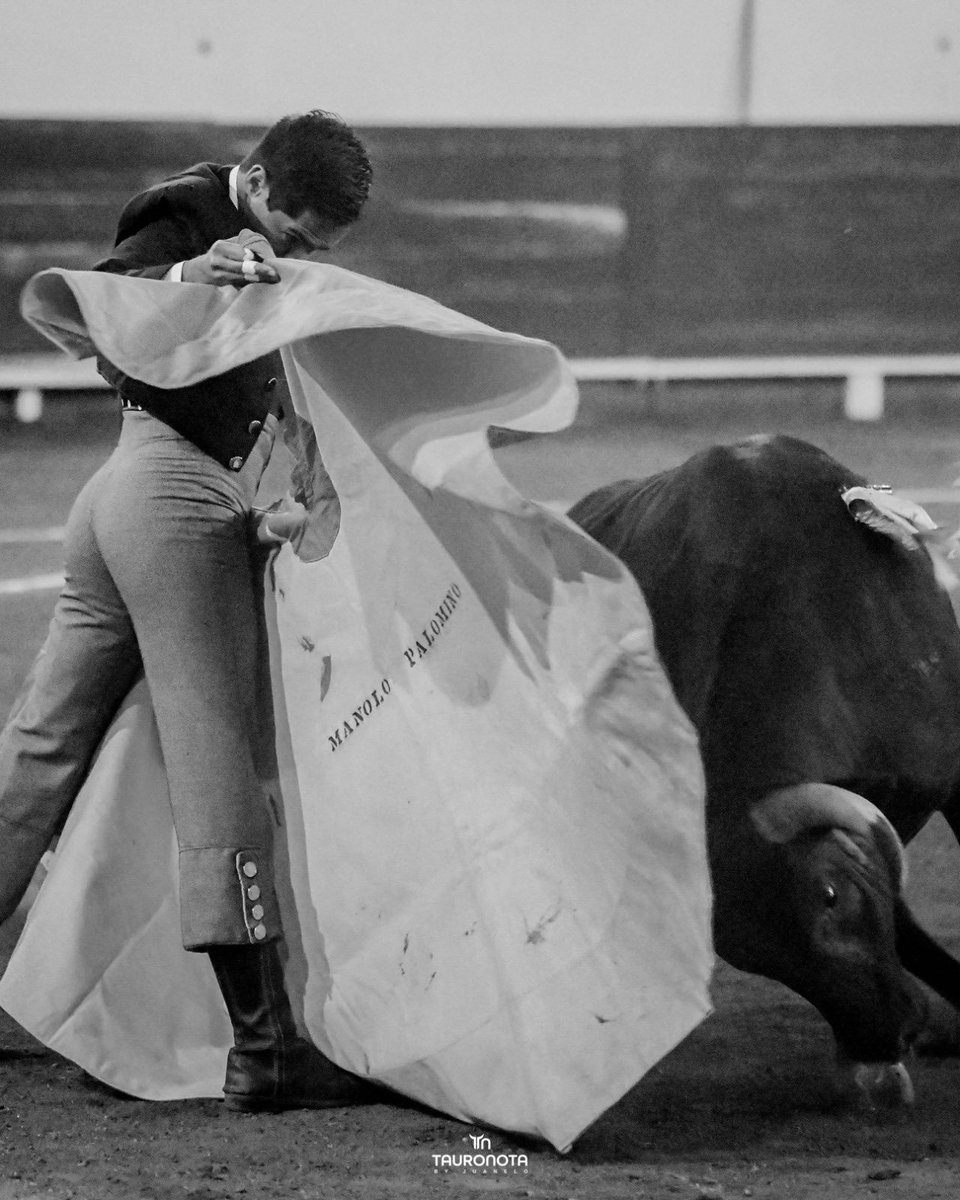 Dimensión Taurina By Tauro Nota tweet media