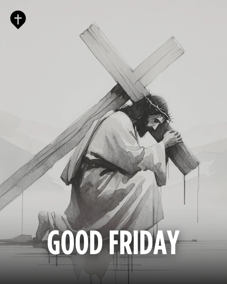 Denver Catholic tweet media