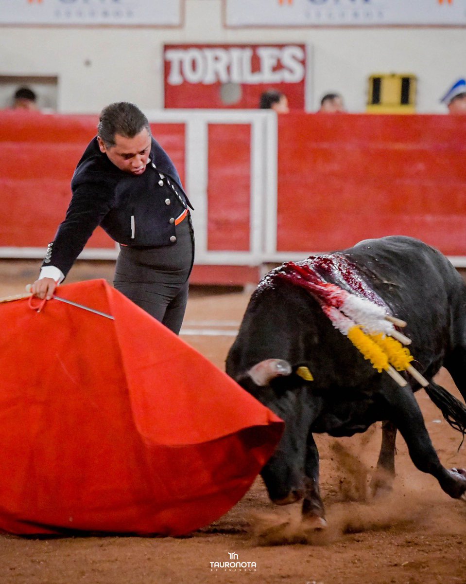 Dimensión Taurina By Tauro Nota tweet media