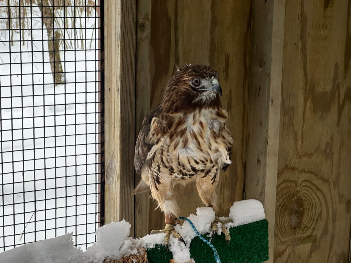 Division of Extension Natural Resources Institute tweet media