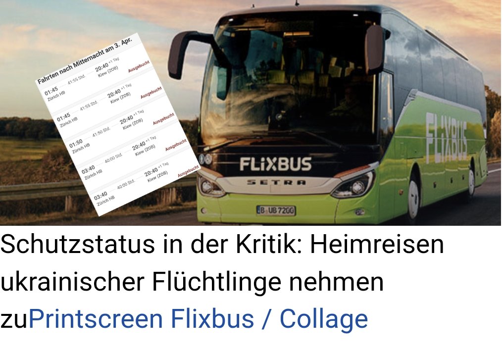 Berenice tweet media