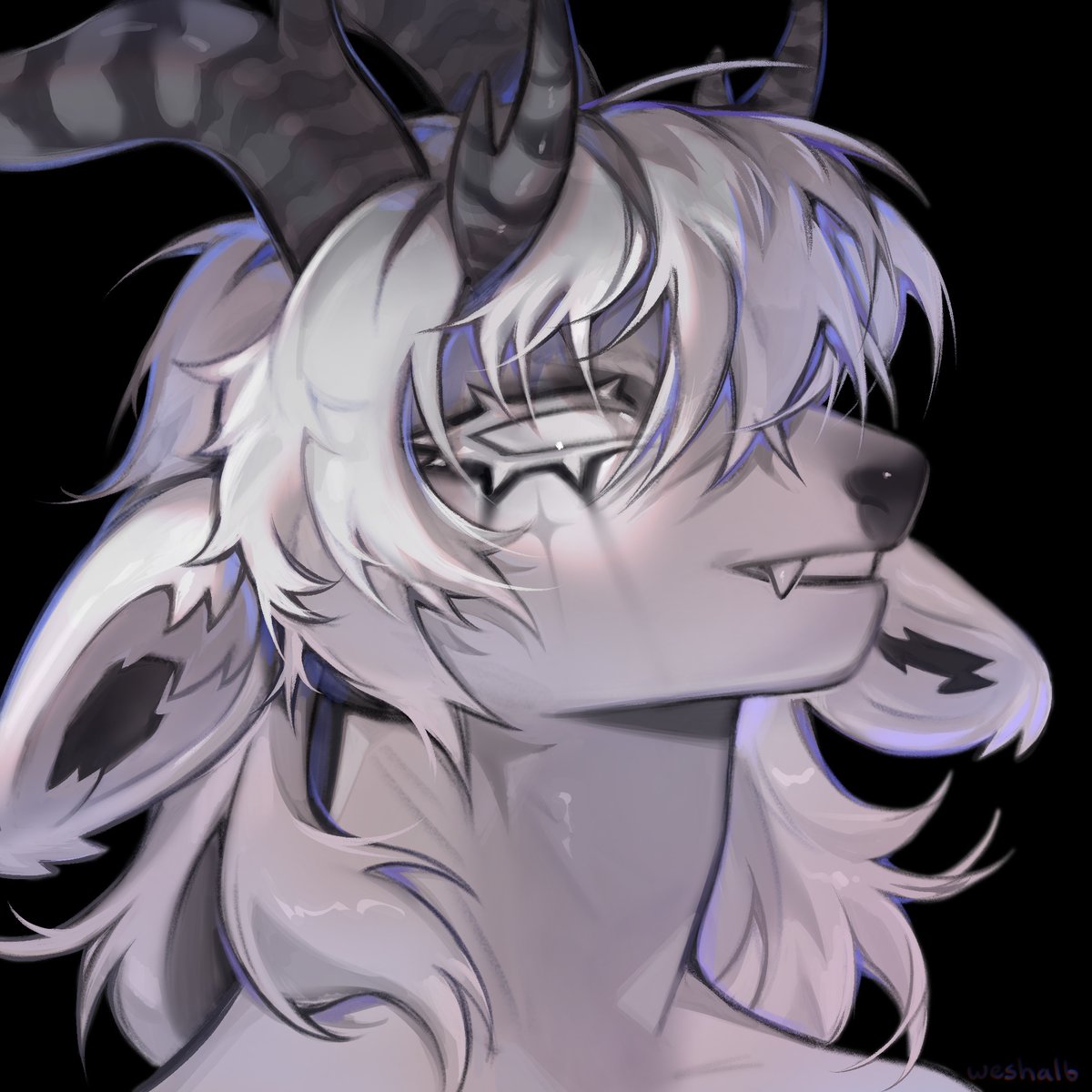 weshalb ✶ tweet media