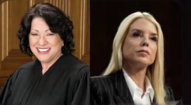 Alina Habba tweet media