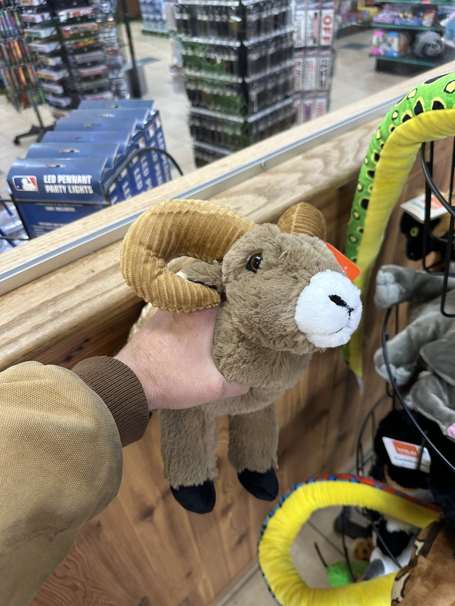 ShadowFox tweet media