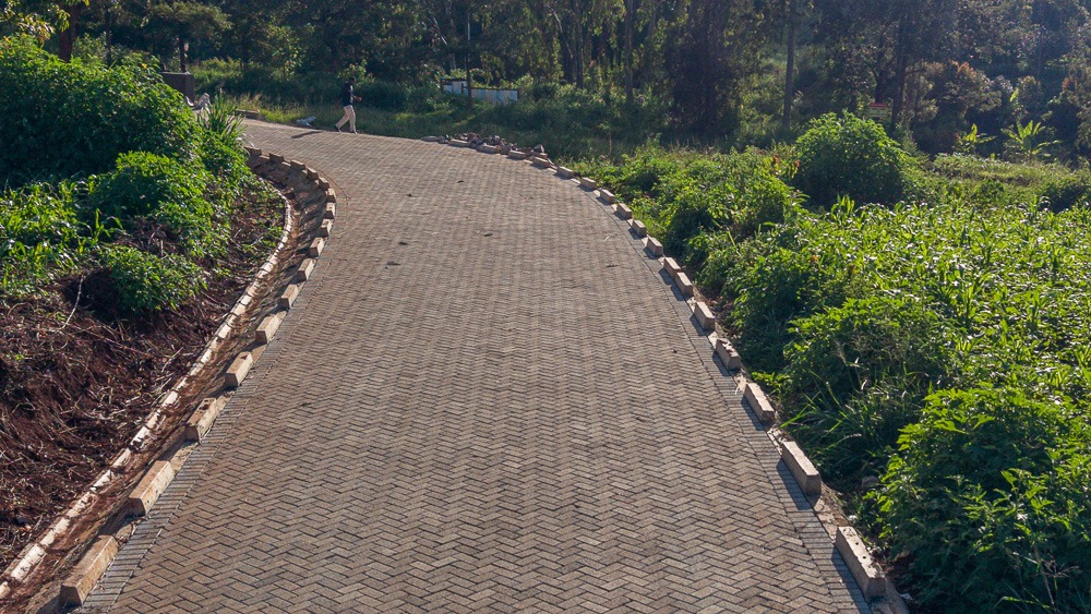 Irungu Kang'ata tweet media