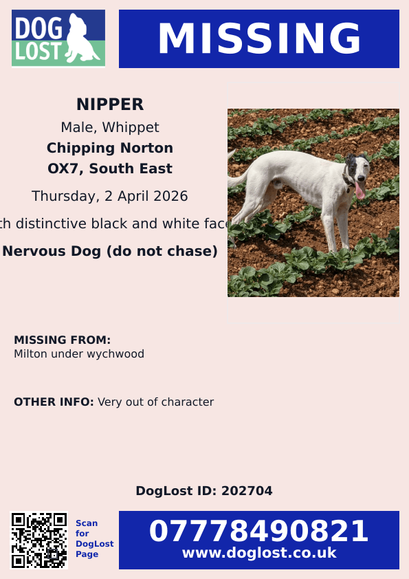 chris towers tweet media