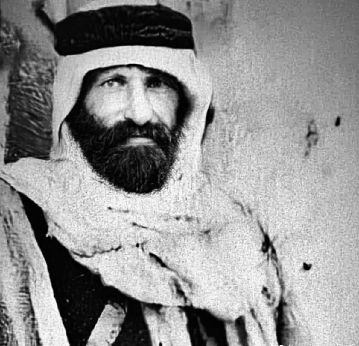 نبض القبائل الأردنية 🇯🇴🔱 tweet media