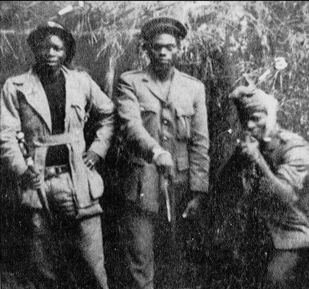 Erimon Paragui PhD tweet media