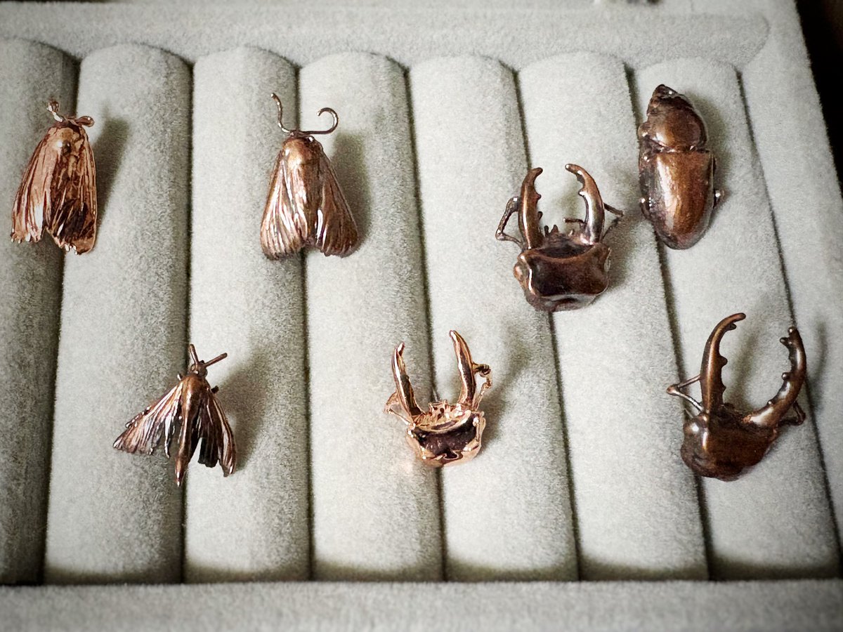 らめ@イキモノを銅にするひと/博物マニア4/11-12 tweet media