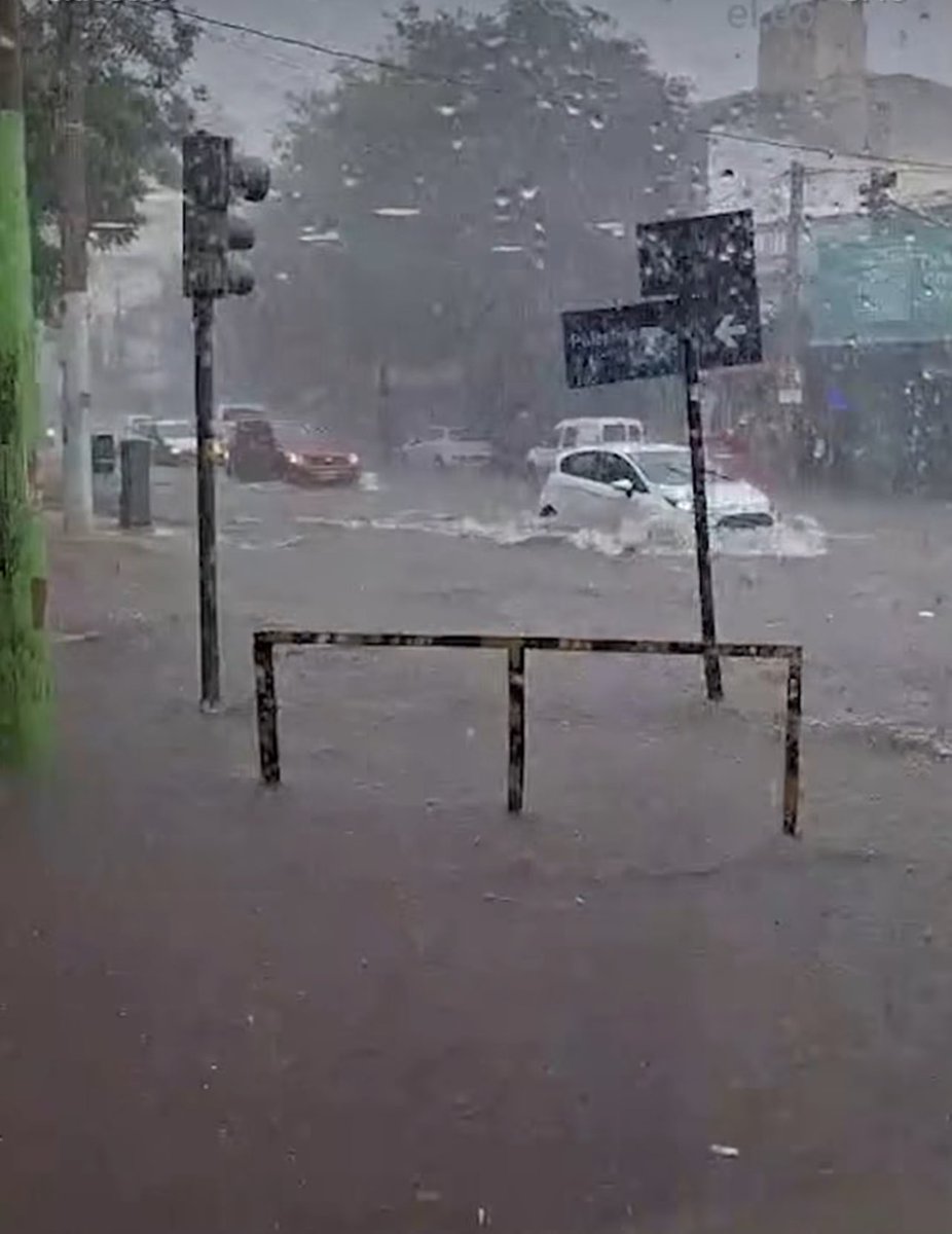 Manuel Frascaroli tweet media