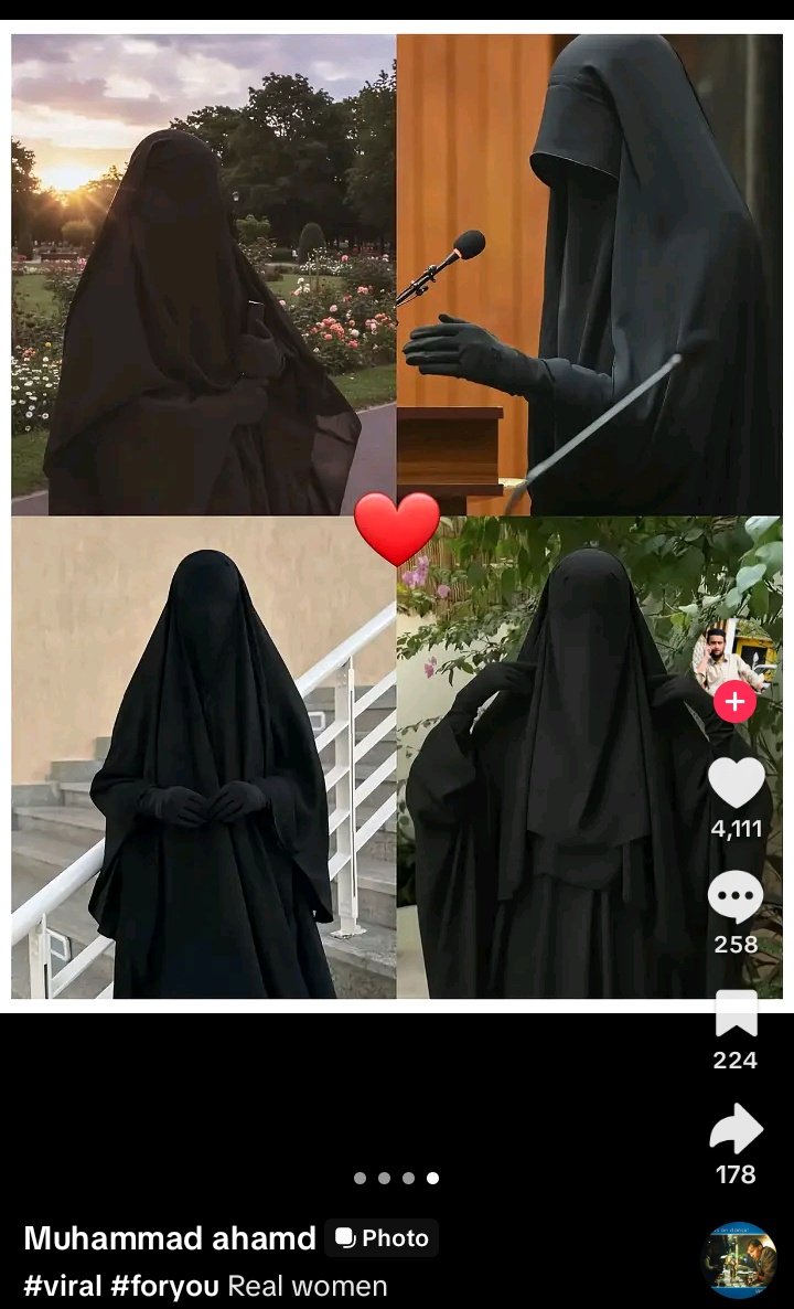 san. ݁₊ ⊹ . ݁˖ . ݁🐼 tweet media