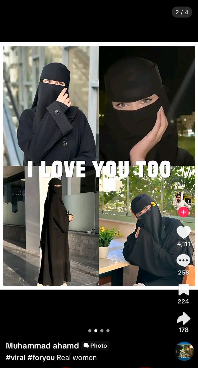 san. ݁₊ ⊹ . ݁˖ . ݁🐼 tweet media