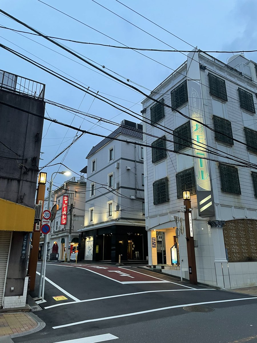 kimuraの散歩🚶♀️ tweet media