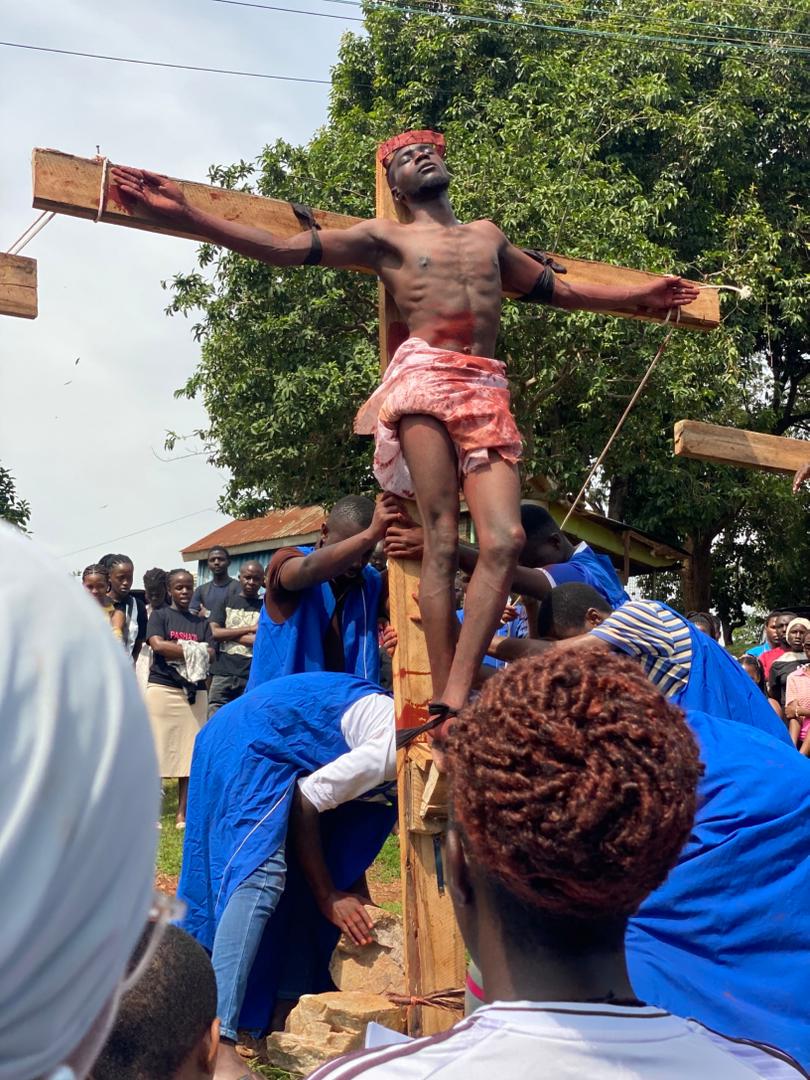 Zoom Afrika tweet media