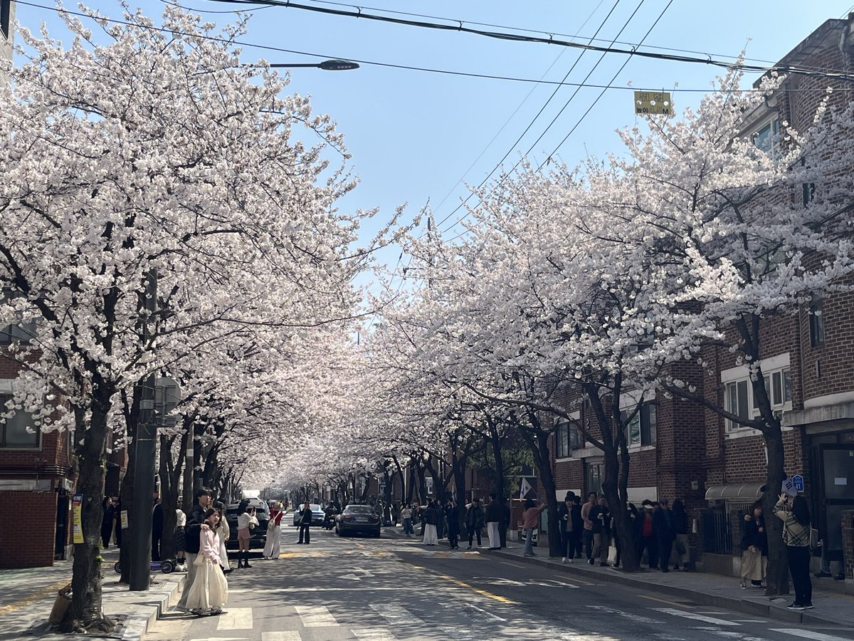 fermata_'s tweet photo. 망원 합정 여의도 당산 이 핑계 저 핑계 삼아 봄이 오는 소식 잔뜩 눈에 담았다, 고난 주간 끝! 다음 주는 방어 모드🥊 https://t.co/JYCbSebX4v