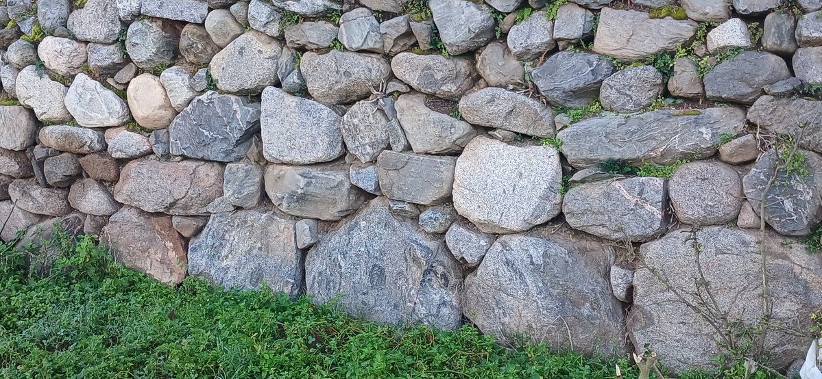 Alvaro Simon Padros tweet media