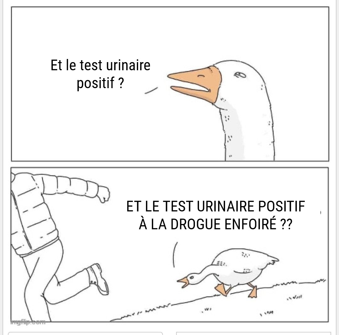 Bords Politique tweet media