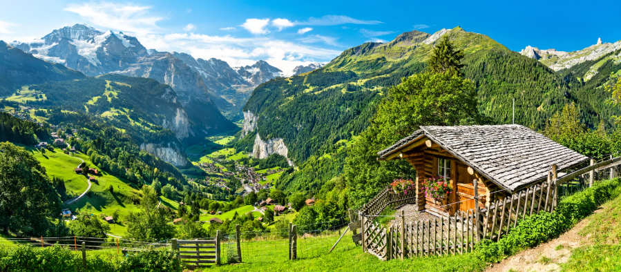 The Timeless Traveler tweet media