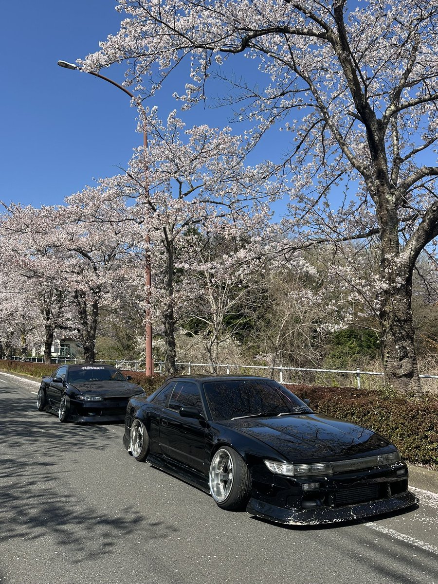 ___0202n's tweet image. 女子2人で桜ドライブ🌸

#s15 #s13