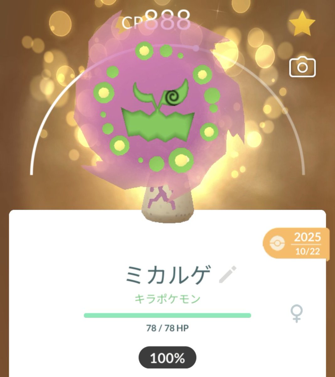 2体目(初キラ💯)もらった〜
めちゃうれし