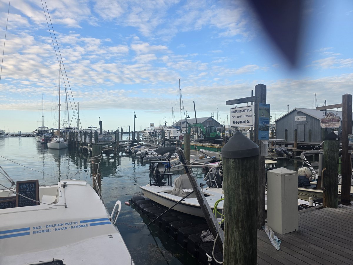 PartyInKeyWest's tweet image. It's a great day to head out on to the water. #keywest #saltlife #boating

More: PartyinKeyWest.com/wp/
Follow us: @PartyInKeyWest
Hashtag us: #PartyInKeyWest