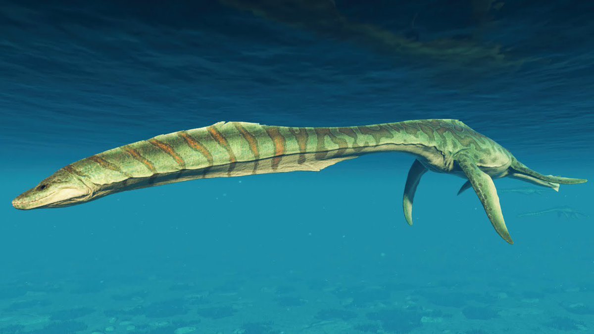 The Utahraptor Enthusiast 🦖🧬👾🐲 tweet media