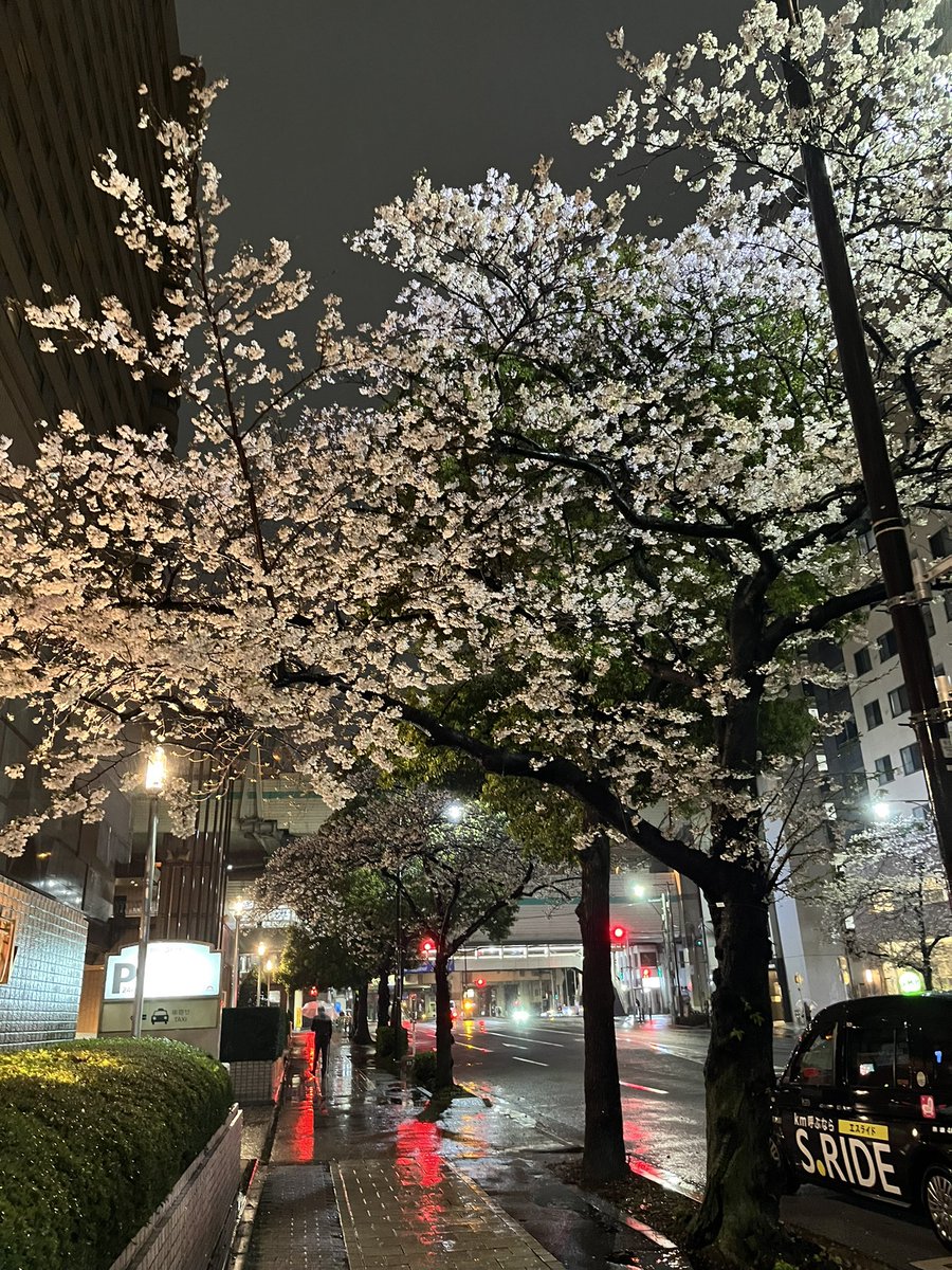 ベビロン(連・バラン) tweet media