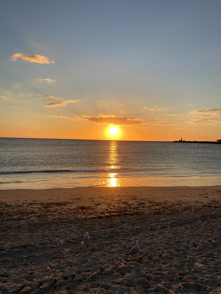 Re🇯🇵→🇲🇾ELF💎 tweet media