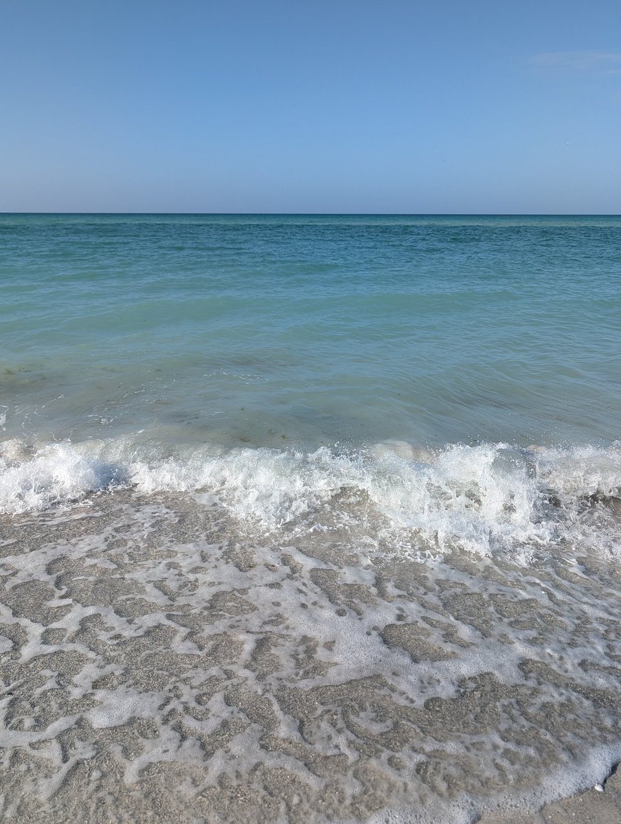 Bryan Johnson tweet media