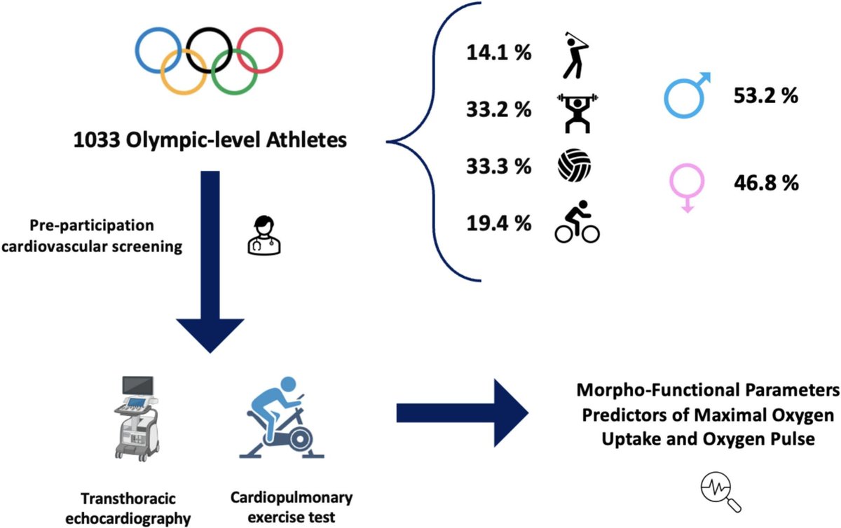 Sports_CardioNL's tweet image. Echocardiographic morpho-functional parameters predictors of maximal oxygen uptake and oxygen pulse in a large cohort of elite athletes practicing different sporting disciplines
sciencedirect.com/science/articl…
#sportscardiology #echocardiography #exercise #VO2max