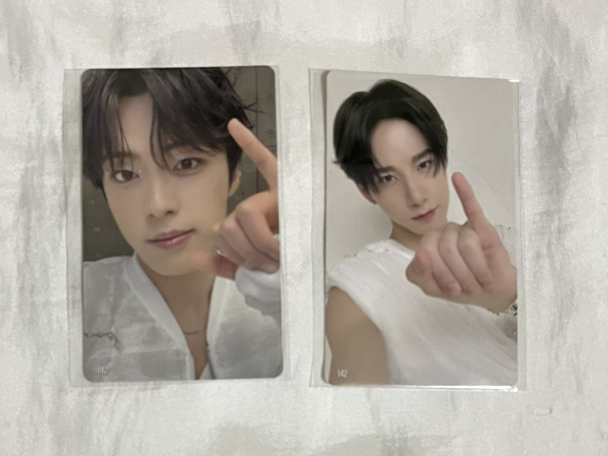 👑🐶 tweet media