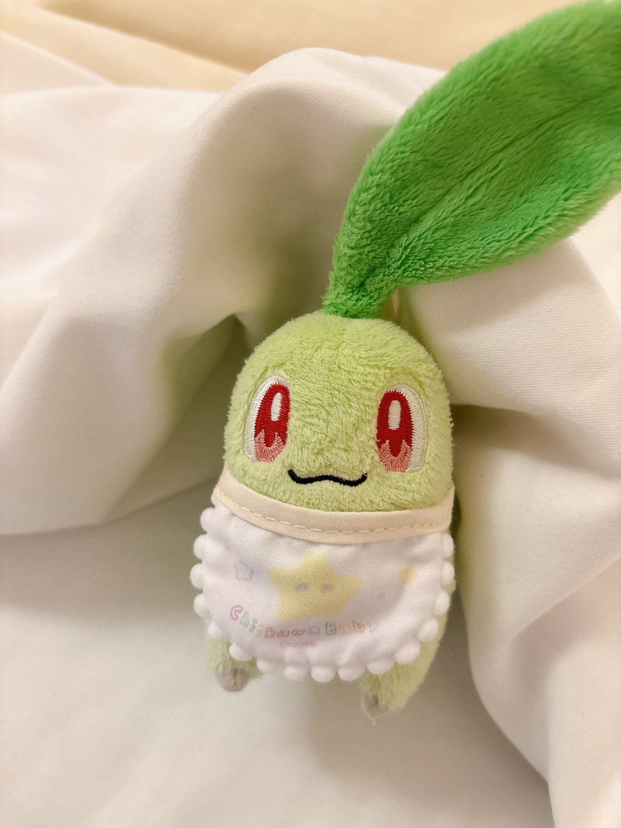 🌱🍓 tweet media