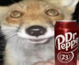 Hiddenwings / wailingfoil476🇺🇸🇻🇦 tweet media