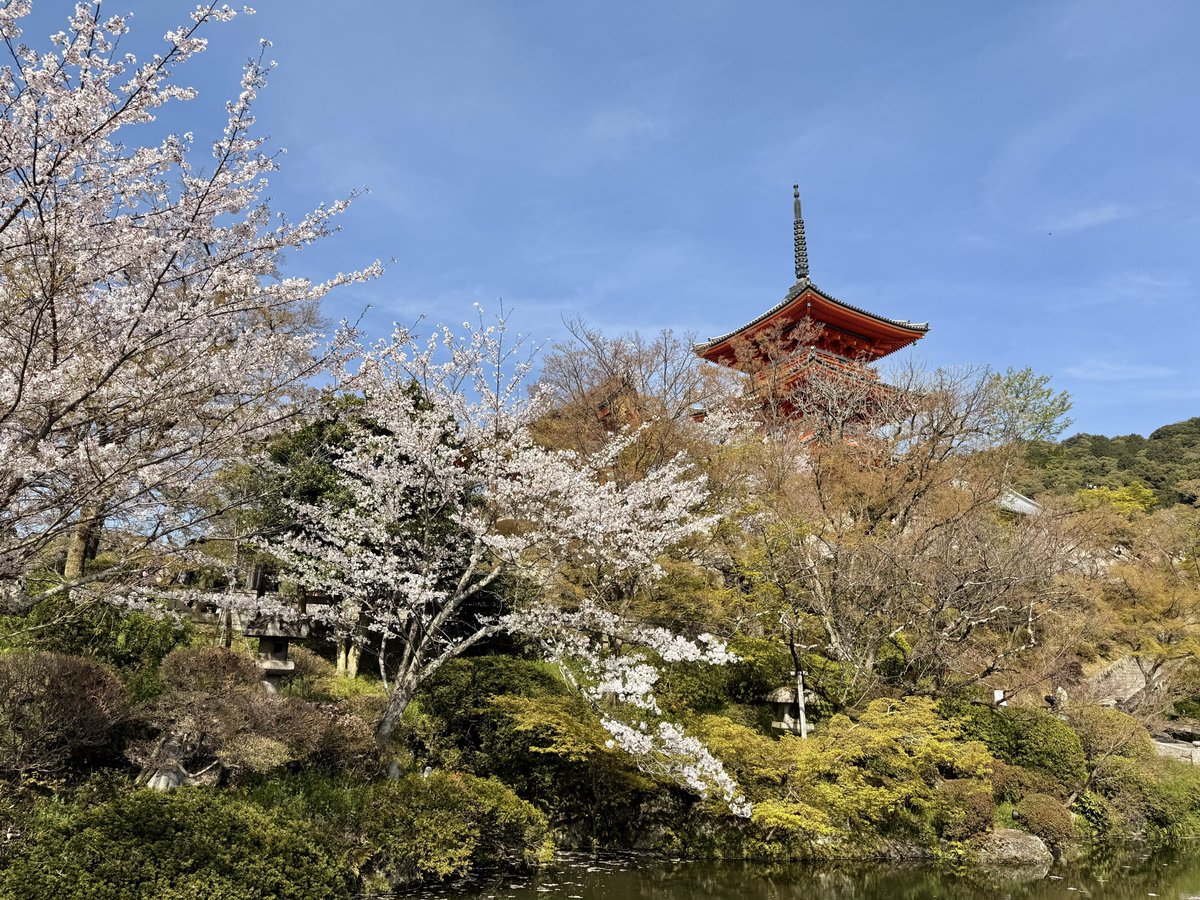 Caleb Franzen tweet media