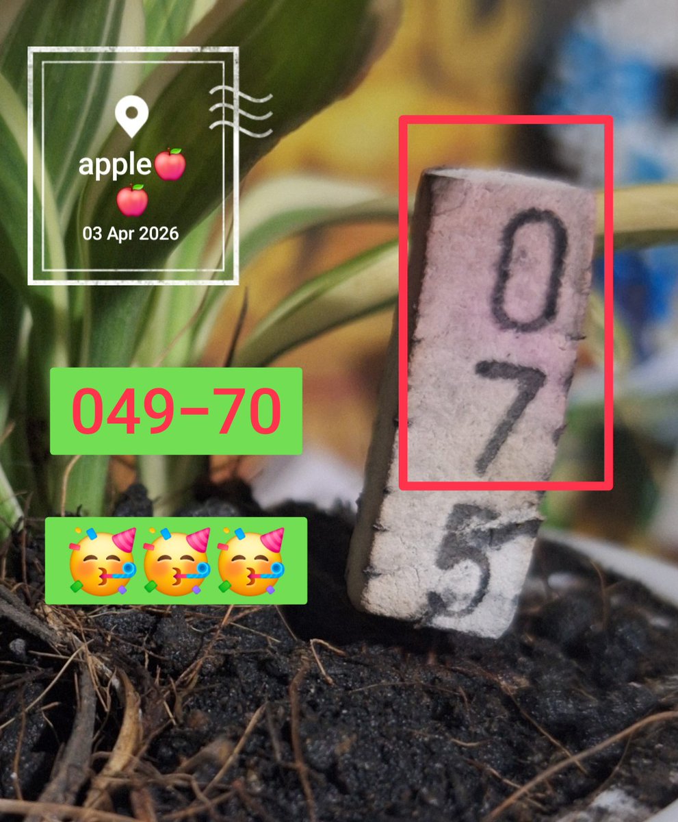 @ple789🍎💰💰 tweet media